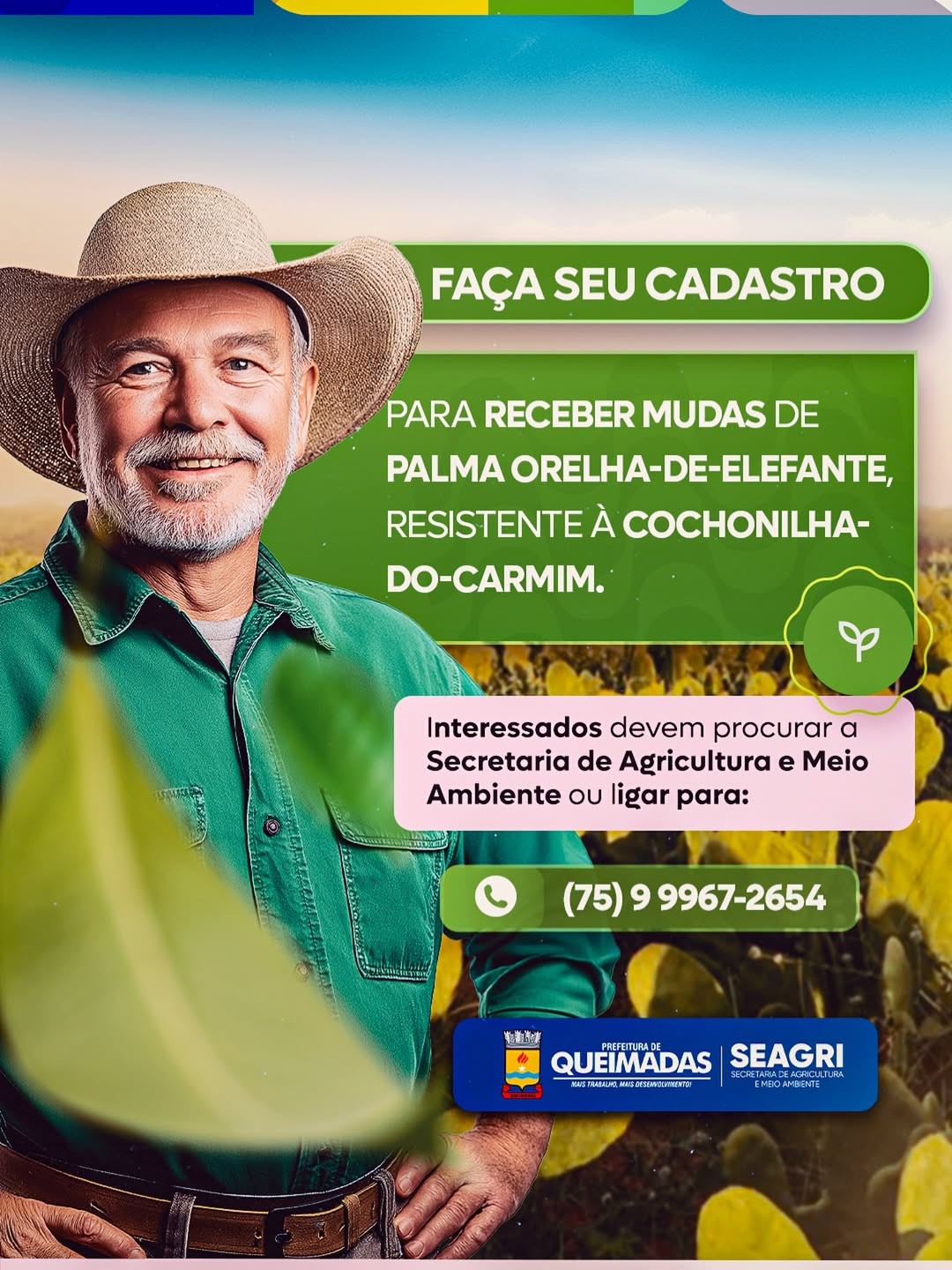 Prefeitura de Queimadas abre cadastro para distribuição de mudas de palma orelha-de-elefante